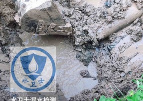 月湖区水管漏水检测公司5